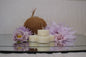 Tealights - Box of 9 - Charming Coconut